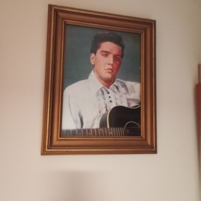 5 quadros decorativos