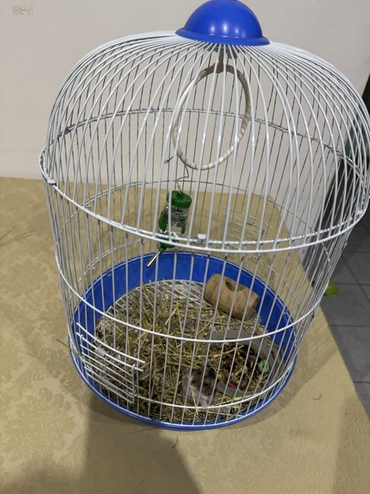 Vendo gaiola e acessórios