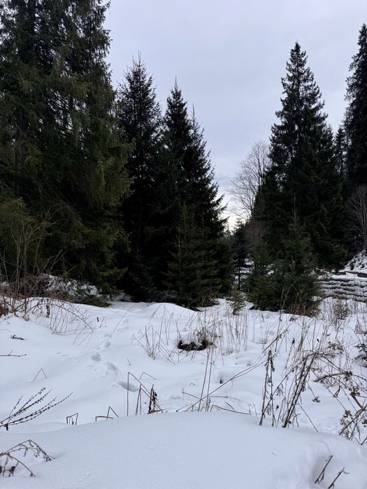 Ділянка в Карпатах біля річки ( Кривопільський перевал )