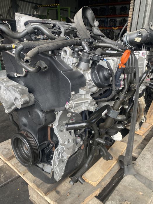 Motor 1.6 TDI grupo Vag