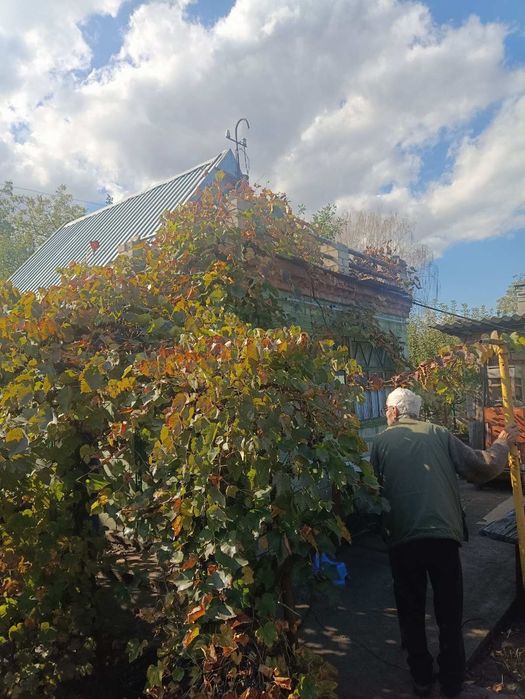 Продам дачу дом с участком