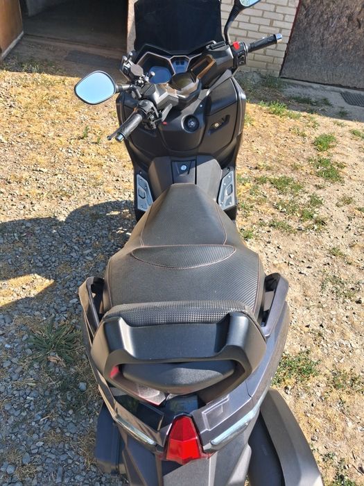 Barton.  B.  MAX  125
