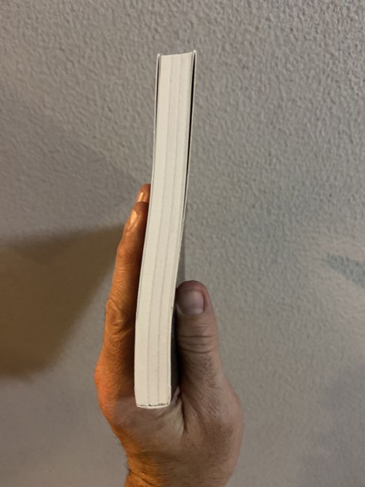 LIVRO NOVO YOU ARE A FUCKING SUCCESS