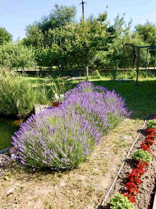 Дом по адресу Петефі Шандора пл. (площадь 336,9 м²) - Atlanta.ua - фото 21