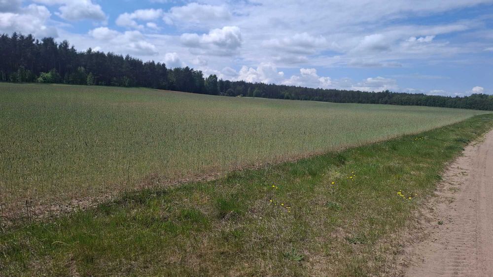 Działki budowlane Stara Kiszewa