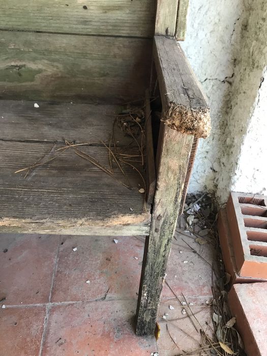 banco de escola antigo