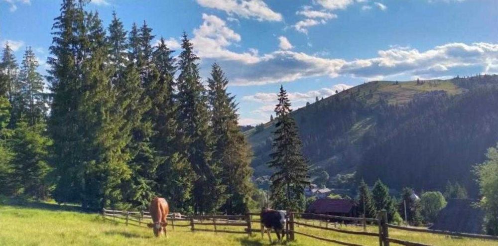 Найкращі краєвиди! Продаж садиби в Яблуниці біля Буковелю. Два будинки на території