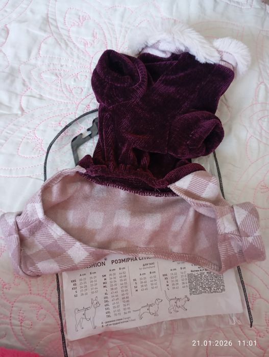 для собак зимовий одяг і весняний