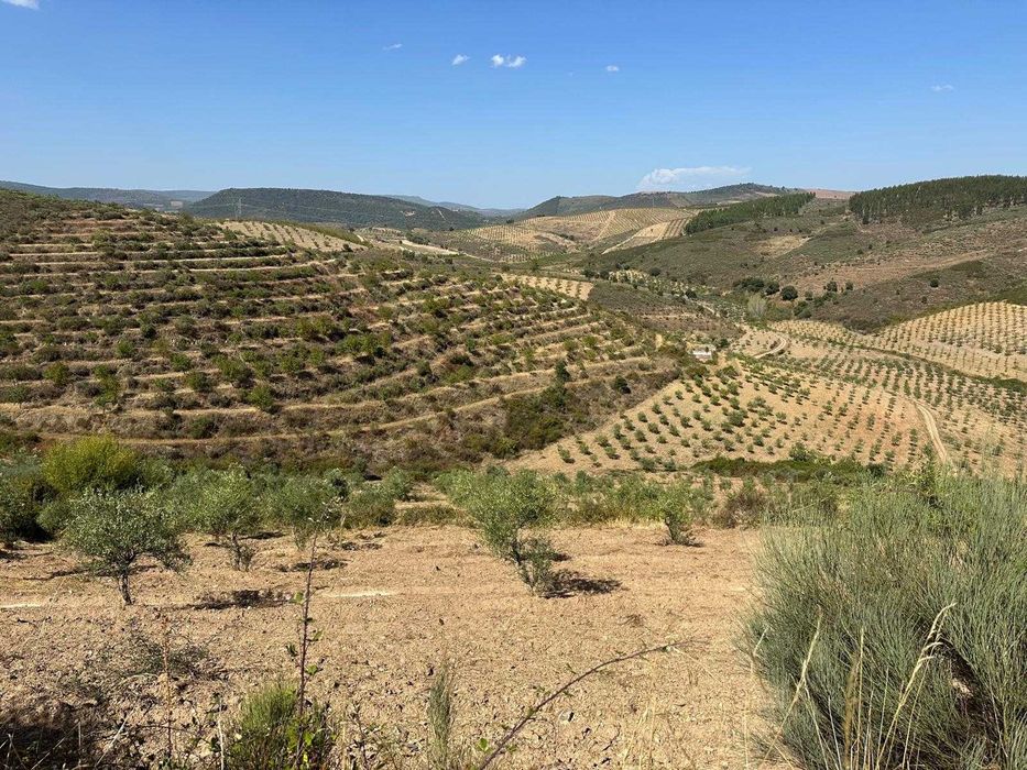 Terreno agrícola - 8,42 hectares
