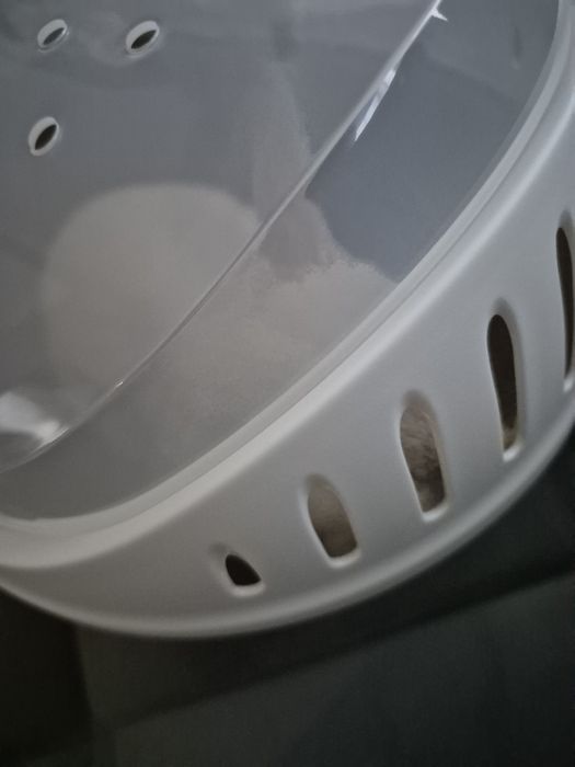 Sprzedam królika ze wszystkim