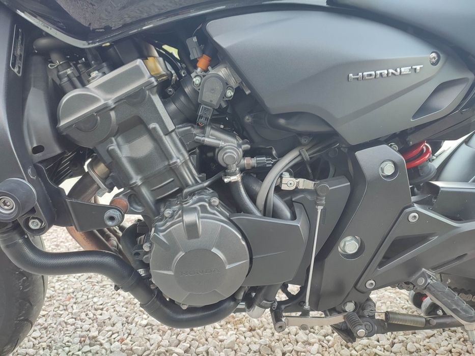 Honda hornet 600