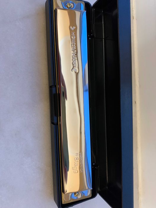 HARMONICA by Stagg Howlin Harp431740298996623363