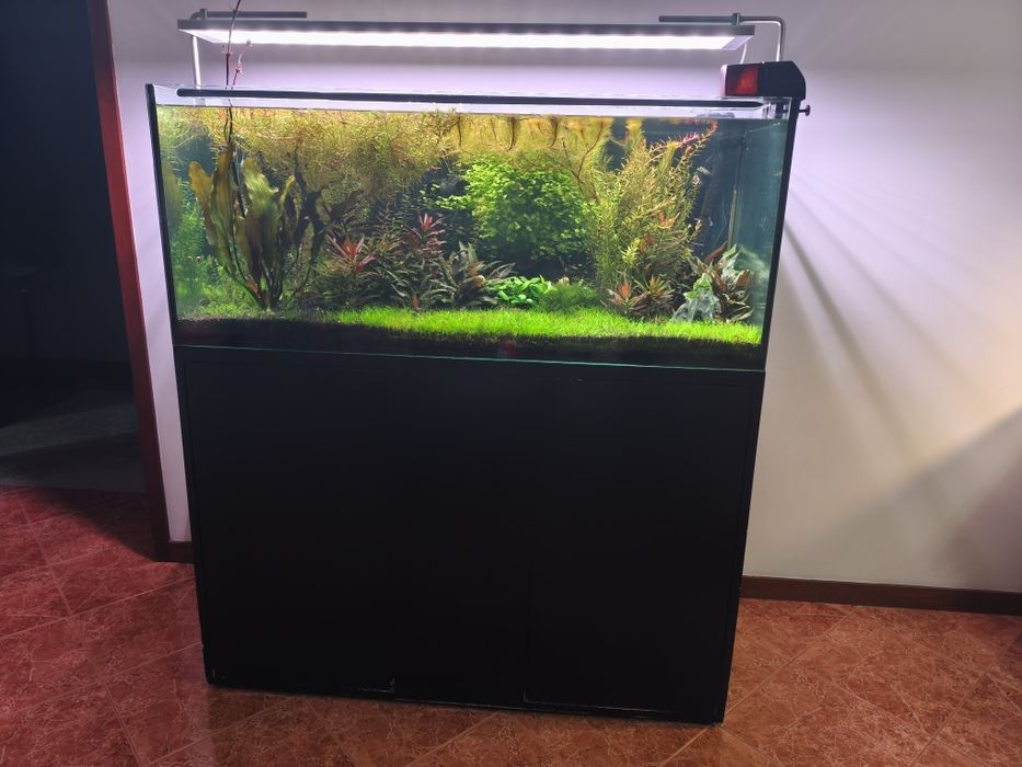 Vendo aquário plantado completo com filtro JBL 1502 sistema CO2 luminária week Aqua e móvel