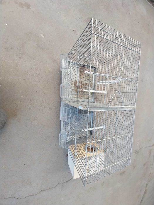 Gaiola pássaros - usada