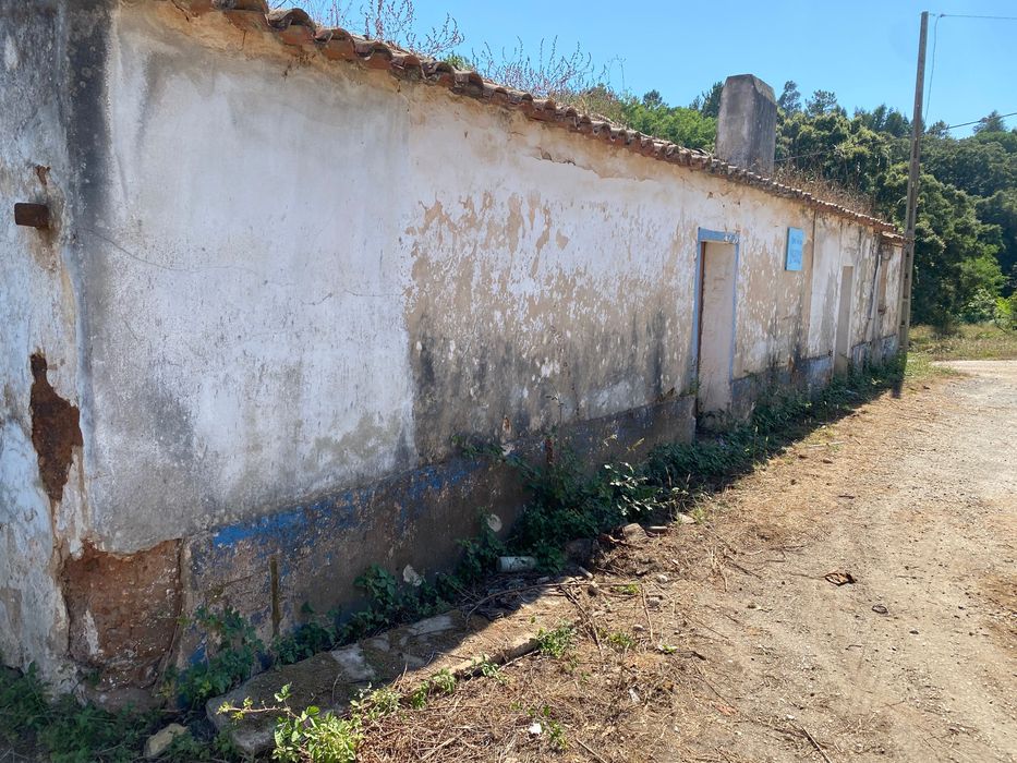 Vendo Quinta 7 hectares 3 Casas Litoral Alentejano