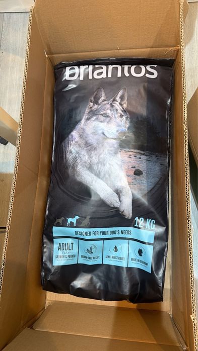 Ração Briantos Adult Salmão e Batata 12kg (sem cereais)