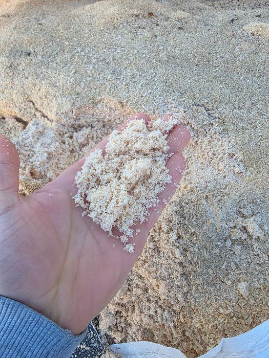 trociny troty pył suche