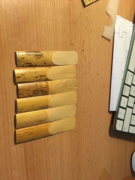 Stroik dziecięcy do klarnetu