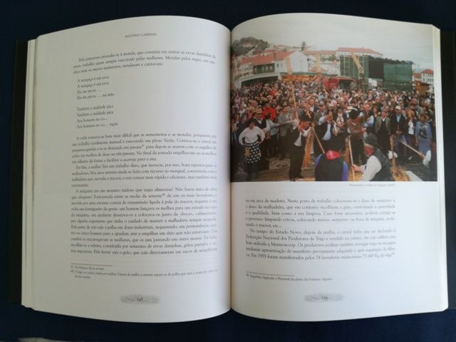 Meimoa de Ontem e de Hoje.