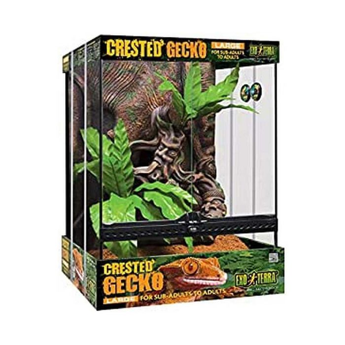 PORTES GRÁTIS - EXO TERRA Kit Terrario para Gecko