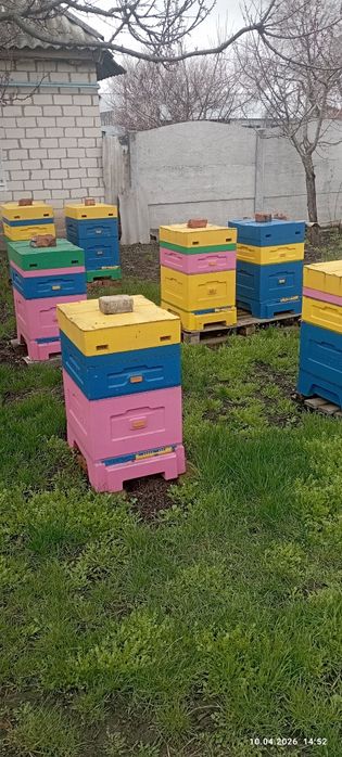 Продаеться пасічний інвентарь, росходний матеріал  і т.д.