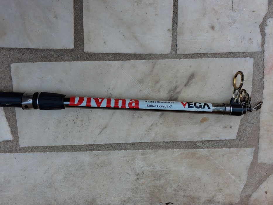 Cana de pesca Vega Divina Titânio 4,60m