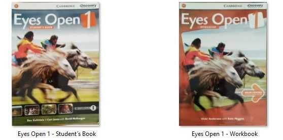 Manuais Inglês - vários níveis