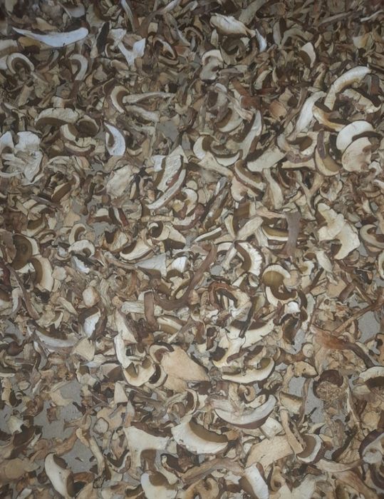 Білий сухий гриб