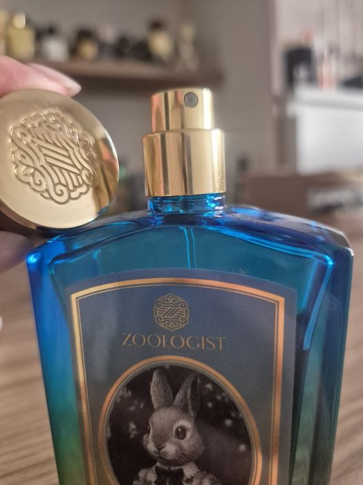 Rabbit Zoologist Limited Edition