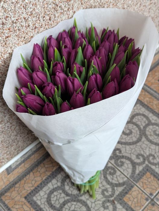 Тюльпани зрізні опт горщики,квіти