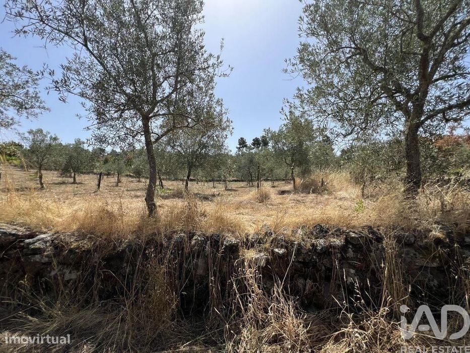 Terreno em Sernancelhe e Sarzeda de 44527,00 m2