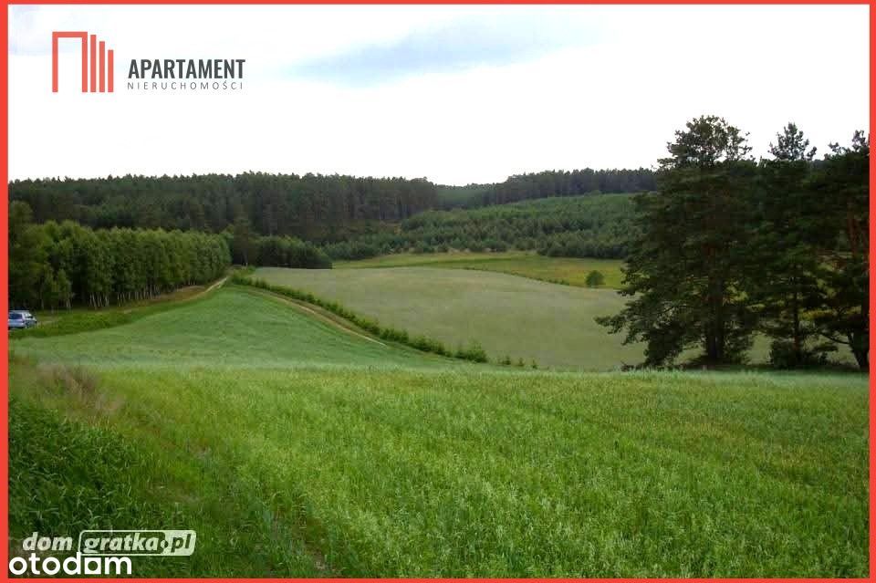 Tylko u Nas! Wyjątkowe działki z WZ-Tuszkowy