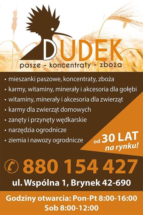 Karma dla królików