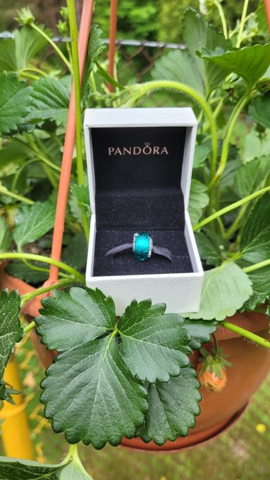 Charms Pandora Moments Always Friends