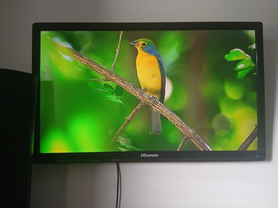 Televisão Hisense