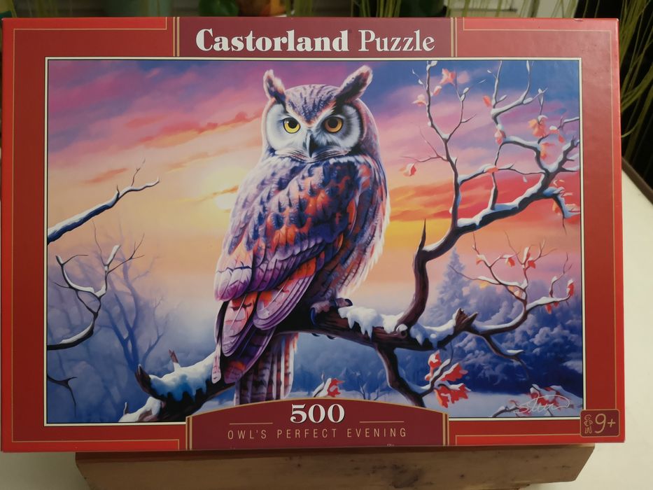 Puzzle castorland 500 elementów Brzezinka • OLX.pl