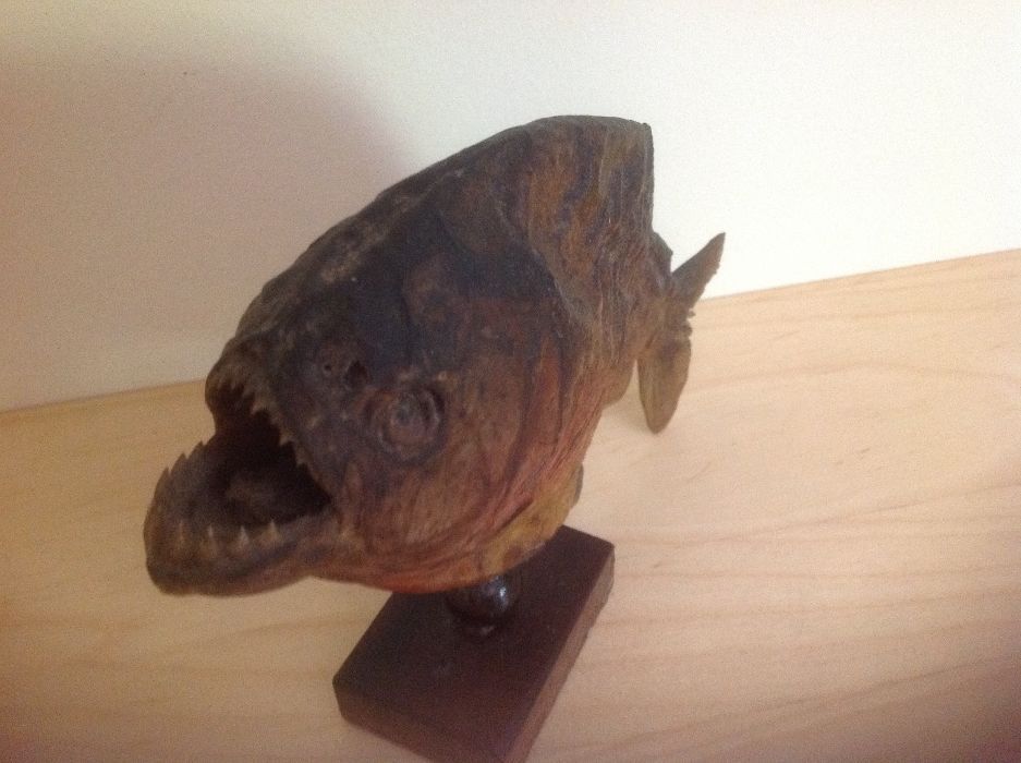 Piranha Brasil decoração
