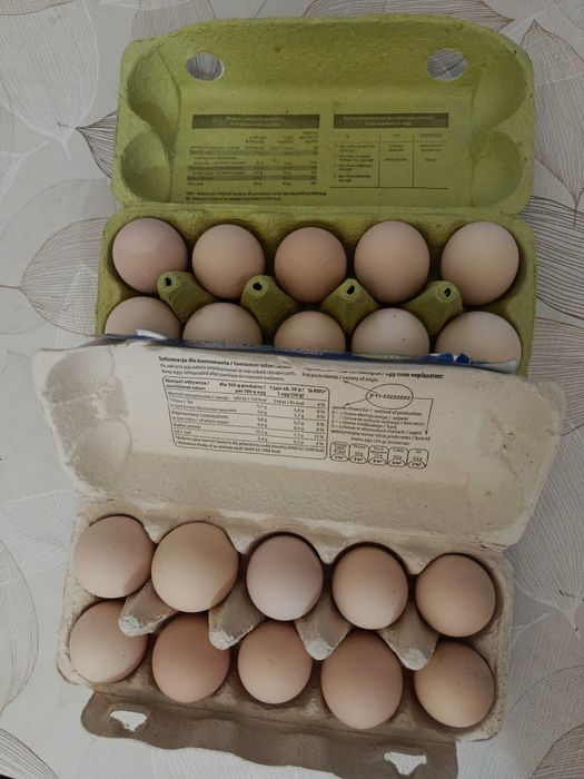 Jajka od własnych kur