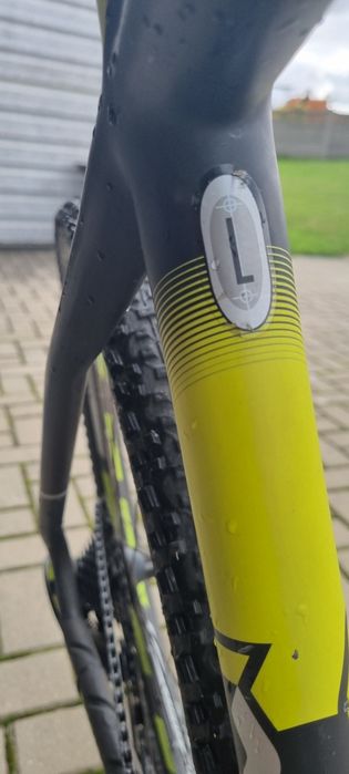 Rower scott scale 30