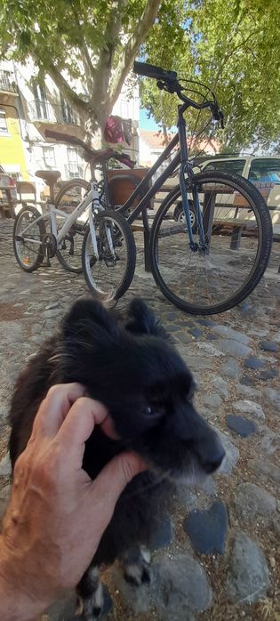 Bicicletas adulto e criança