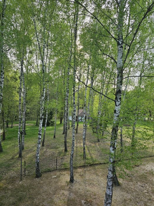Okuninka - Majówka - jez.Białe - apartament 4os.