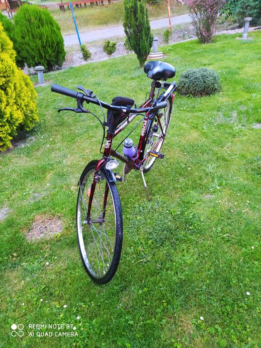 Rower trekkingowy męski