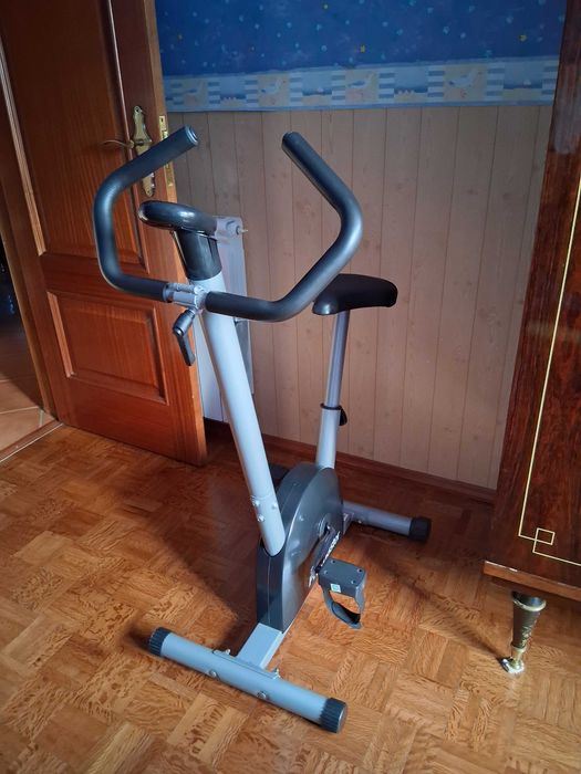 Bicicleta Estática / Treino Promaster