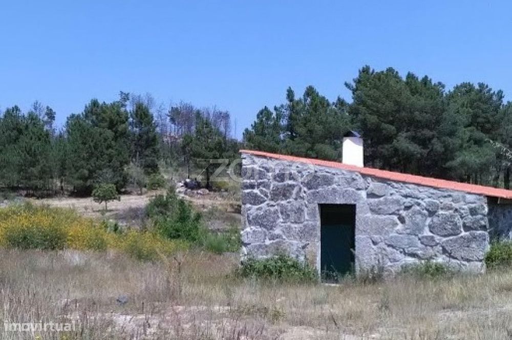 Terreno Rústico com 3.500 m² no Alto Douro Vinhateiro