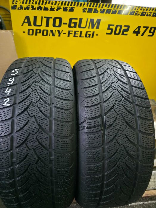 Opony Zimowe 225/50R17 Platin RP60 Winter 2sztuki Montaż