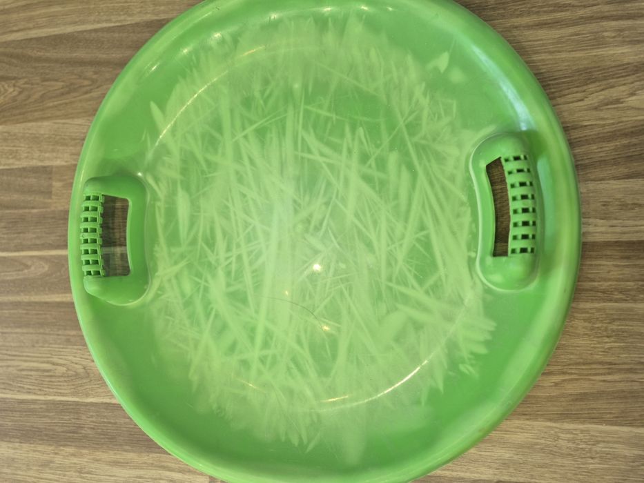 Санки,тарелка,ледянка,льодянка