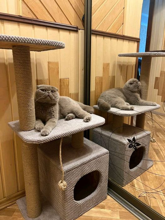 Когтеточка домик 88 см  для кошек с лежанкой