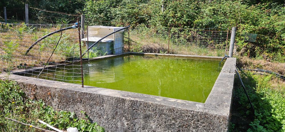 Terreno agrícola com 8.700 m² em Basto (S. Clemente), Celorico de Basto