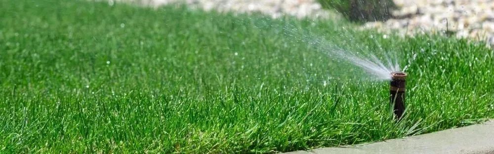Nawadnianie trawników, zraszacze, serwis studni głębinowych