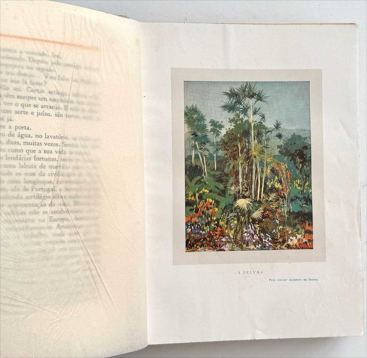 1930_Ferreira de Castro, A SELVA. Com ilustrações de vários pintores nacionais.